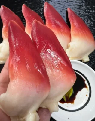 Extra Large Sashimi-Grade Arctic Surf Clam photo review